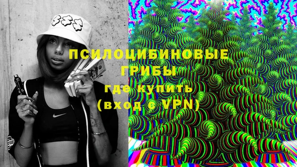 крисы Богородицк